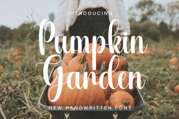 Pumpkin Garden Font