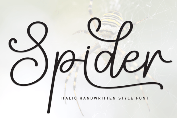 Spider Font: A Handwritten Typeface for Editorial Design